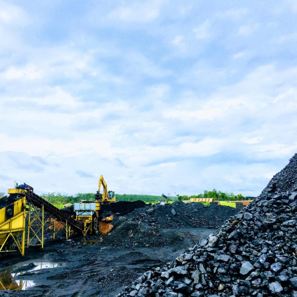 Bio-mining